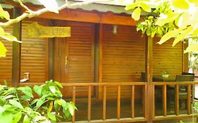 Endemik Bungalov